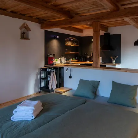 Apartmán Königův Mlýn