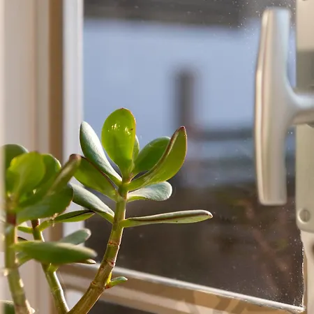 Apartmán Königův Mlýn Úštěk